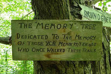 Memory Tree info sign