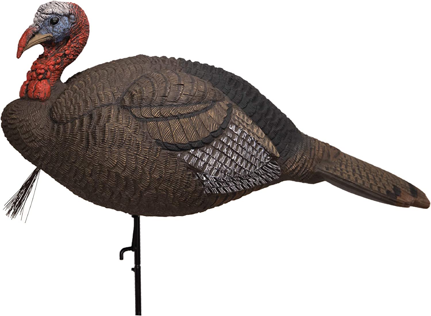 Turkey Bow Hunting – Opening Day April 25