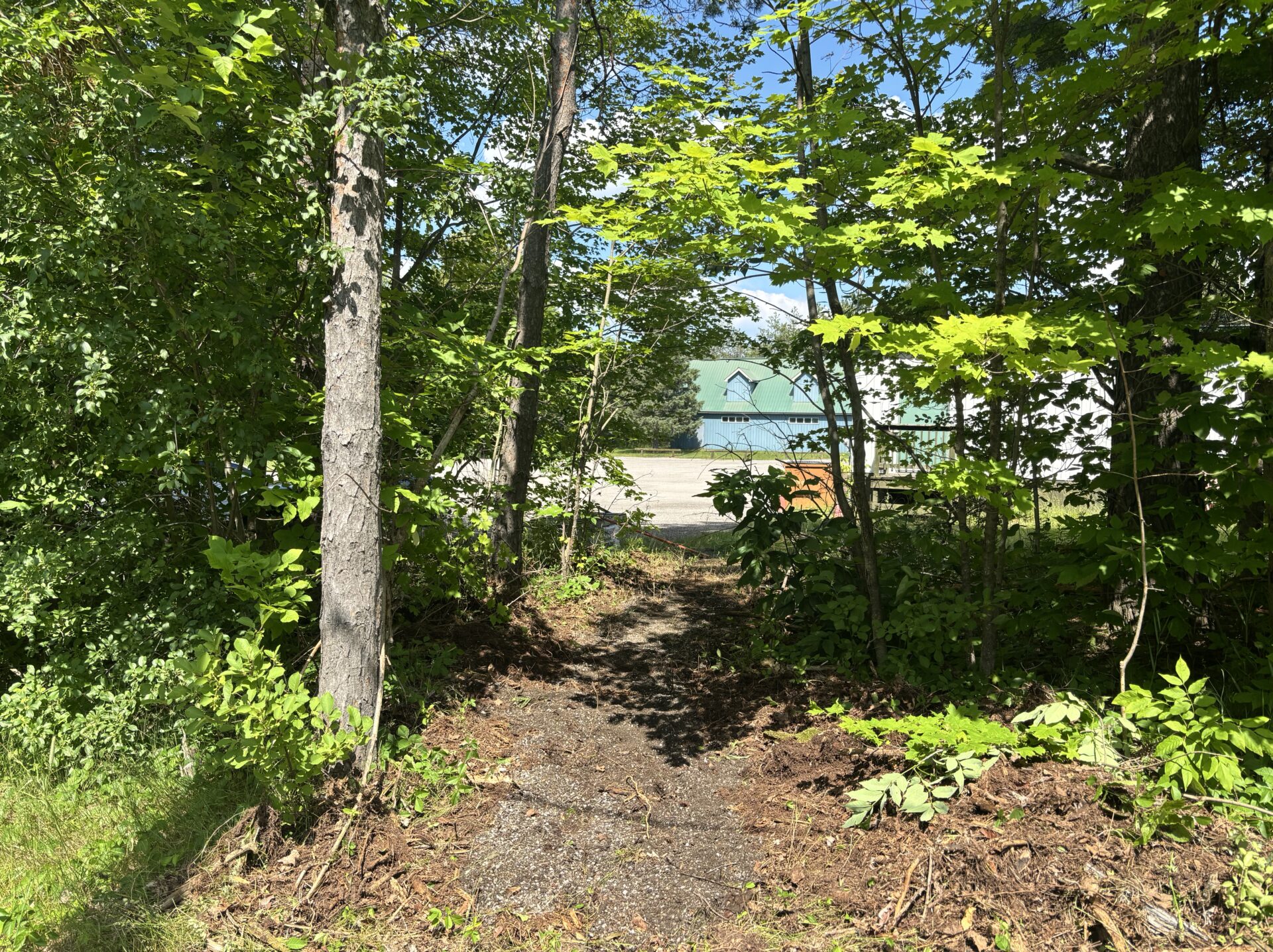 Driveway Paving update